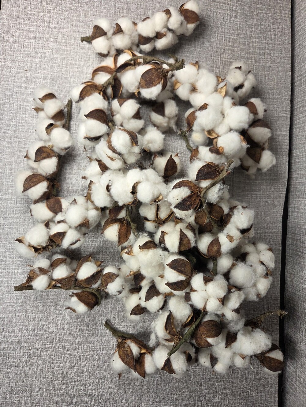 Cotton Stems Natural Dried Cotton Flower Bolls Sprigs partials and singles